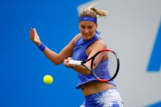 Kvitova Ogah Pandang...