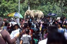 Awas!!! Ancol dan Ragunan...
