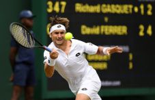 David Ferrer Singkirkan...