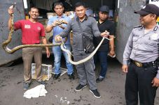 Polisi Gagalkan Penyelundupan...