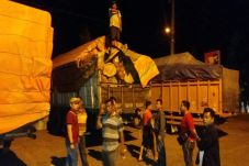 Angkut Kayu Meranti,...