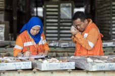 Kesuksesan Jangka Panjang...