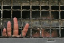 50 Bayi Palestina Lahir...