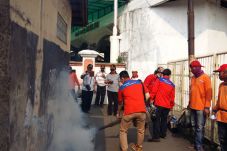 Fogging yang Dilakukan...