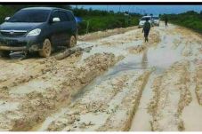Jalan Trans Kalteng-Kalbar...