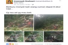 Posting Foto Hasil Berburu...