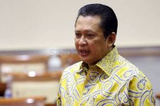 Densus Tipikor, Pencegahan,...