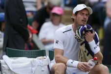 Andy Murray Mulai Berlatih