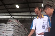 Basmi Kutu yang Menyerang...
