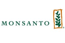 Monsanto Dorong Penggunaan...