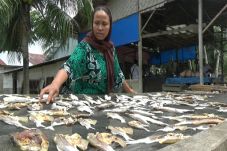 Garam Langka, Harga...