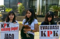 Bawa Ayam Jago, Pendemo...