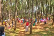 Libatkan Ribuan Peserta,...