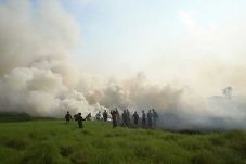 120 Hektare Lahan Gambut...