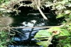 Bikin Hitam Air Sungai,...