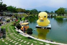 MNC Travel Kenalkan...
