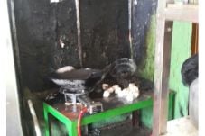 Kompor Gas Meledak,...
