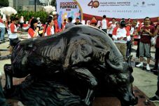 Banteng Wulung Jadi...