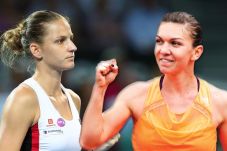 Serena Hamil, Pliskova...