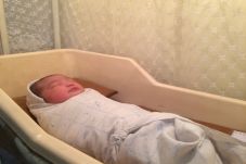 Selamat, 7 Bayi Lahir...