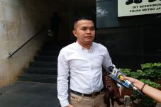 Pengacara Model Cantik...
