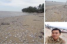 Harga Garam Mahal, Bete-bete...