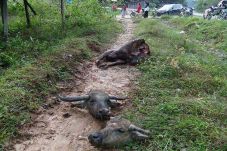 Heboh!!! Penemuan 2...