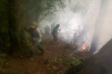 Hutan di Kaki Gunung...