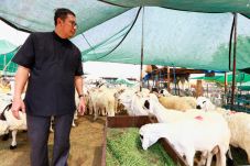 Menag Cek Lokasi Penyembelihan...