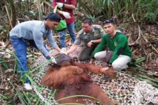 Tersesat di Ladang Milik...