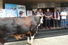 Idul Adha, Hary Tanoe...
