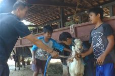 Anak-Anak Ini Cari Tambahan...