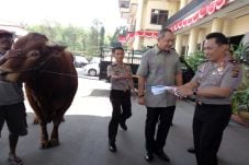 MNC Peduli Berikan Hewan...