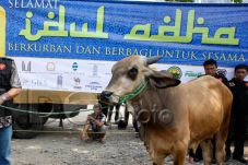 Idul Adha Momentum Tingkatkan...