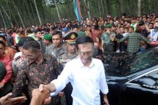 Rayakan Idul Adha, Jokowi...
