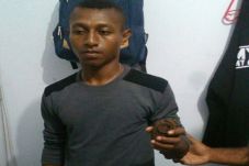 Bawa Granat Nanas ke...