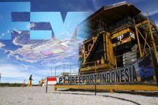 Freeport Divestment...