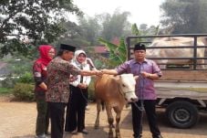 DPC PDIP KBB Siapkan...