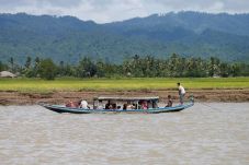 Puluhan Muslim Rohingnya...