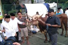 Hari Raya Idul Adha...