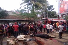 PDIP Jabar Berharap...
