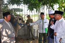 Wagub Jateng Serahkan...