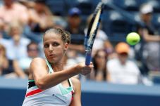 Ratu Tenis Pliskova...