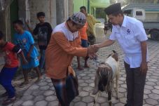 Perindo Laksanakan Kurban...