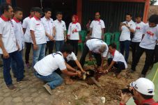 DPD Perindo Batanghari...
