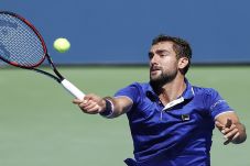 Lawan Schwartzman, Marin...