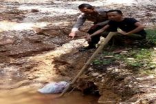 Polisi Terus Buru Pelaku...