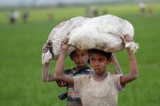Sikapi Tragedi Rohingya,...