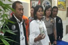 Tanam Pohon Ganja Setinggi...