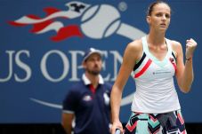 Pliskova Hanya Butuh...